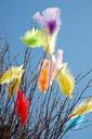 feathers-easter-coloured-decoration-96128.jpg