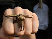 buffalo-skull-bull-corners-ring-876359.jpg