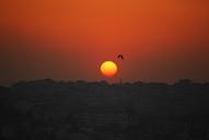 istanbul-turkey-sunset-seagull-217931.jpg