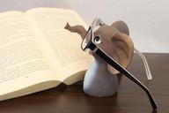 elephant-glasses-book-read-1651997.jpg