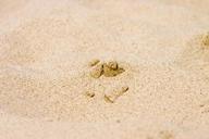 sand-beach-holiday-sand-beach-547705.jpg