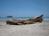 costa-rica-pacific-beach-wood-178524.jpg