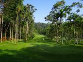 golf-course-golf-sport-lawn-346443.jpg