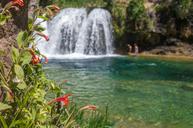 Waterfall_Trail_on_Fossil_Creek.jpg