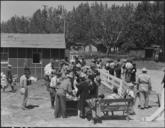 Turlock,_California._Baggage_is_inspected_as_families_arrive_at_Turlock_Assembly_center._Evacuees_._._._-_NARA_-_537642.jpg