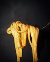 spaghetti-food-italian-pasta-fork-1549324.jpg