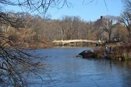 central-park-park-winter-lake-593441.jpg