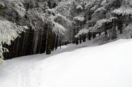 winter-scene-mountain-wonderland-1055461.jpg