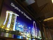 airport-advertising-singapore-425211.jpg