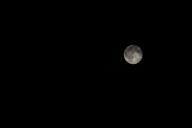 full-moon-moon-night-dark-black-979964.jpg