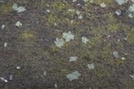 textures-stone-background-ground-1243565.jpg