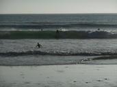 surf-algarve-arrifana-sport-sea-506352.jpg