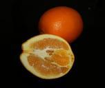 orange-fruit-orange-fruit-citrus-316235.jpg