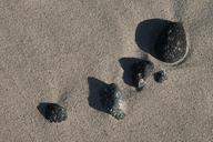 pebbles-sand-sea-beach-waves-1082767.jpg