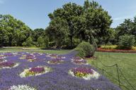 Scene from the 66-acre Dallas Arboretum and Botanical Garden in Dallas, Texas LCCN2014632945.tif.tiff