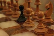 chess-black-sheep-parts-colors-205821.jpg