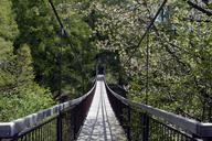 suspension-bridge-bridge-transition-1408861.jpg