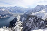 lake-lucerne-region-lake-switzerland-601427.jpg