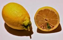 lemons-lemon-keimling-citrus-fruits-1628801.jpg