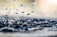 water-drop-drop-macro-wet-nature-214833.jpg