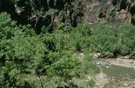 Zion national park.jpg