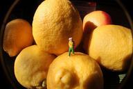 lemon-person-abstract-fruit-people-1000323.jpg