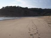 Footprints in sand at grassy head beach.jpg