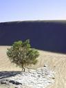 Sand dunes in desert day.jpg