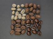 coffee-beans-square-divisions-1082116.jpg