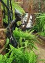 garden-elves-frog-fantasy-statue-1151388.jpg