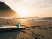 surf-board-beach-sunlight-677782.jpg