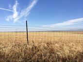 fence-landscape-field-meadow-blue-385250.jpg