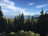 lake-tahoe-trees-mountain-pine-1606969.jpg