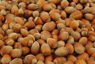 nuts-hazelnuts-fruit-healthy-food-1012905.jpg