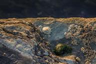 sea-shell-stones-coast-england-1400382.jpg