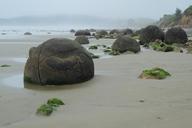 Beach at Moeraki Boulders on a foggy day.jpg