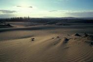 Sand dunes at sunrise senic.jpg