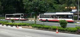 SMRT_buses.jpg