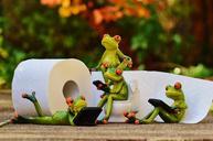 frog-toilet-loo-session-funny-1037253.jpg