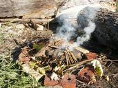 campfire-smoke-burning-wood-nature-213504.jpg