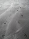 footprints-sand-footsteps-footprint-166420.jpg