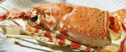 crab-crayfish-crab-meat-meal-638223.jpg