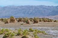 death-valley-california-usa-desert-333346.jpg