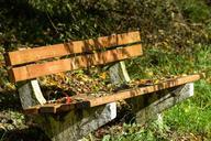 bench-wood-rest-fall-autumn-leaf-485780.jpg