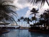 swimming-pool-pool-water-palms-383803.jpg