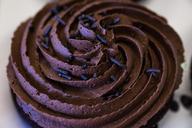 chocolate-icing-cupcake-frosting-1053289.jpg