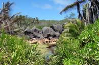 rocks-tropic-nature-seychelles-614263.jpg