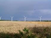 wind-power-windr%C3%A4der-windmill-coast-427072.jpg