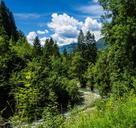 liechtensteinklamm-gorge-austria-410756.jpg