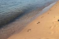 beach-footprints-mamaia-sand-sea-88461.jpg